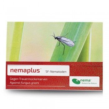 Nützlinge / Nematoden Steinernema feltiae für 10qm